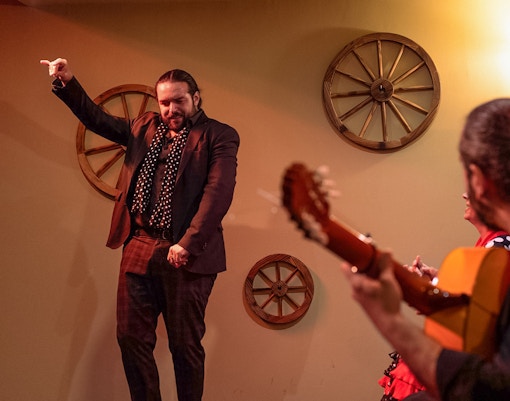 Flamenco Show Granada