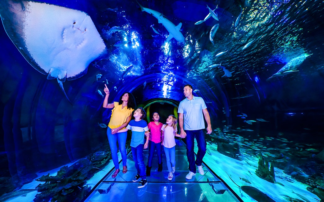 Family walking through 360 Tunnel at Sea Life Orlando, surrounded by marine life.