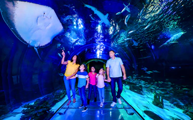 Family walking through 360 Tunnel at Sea Life Orlando, surrounded by marine life.