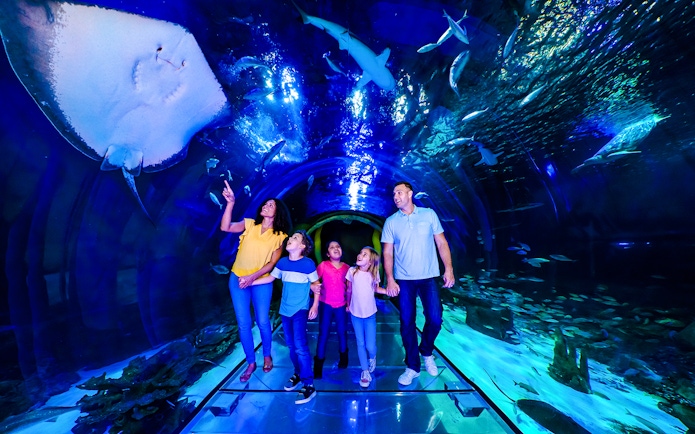 Family walking through 360 Tunnel at Sea Life Orlando, surrounded by marine life.