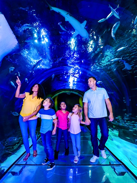 Family walking through 360 Tunnel at Sea Life Orlando, surrounded by marine life.