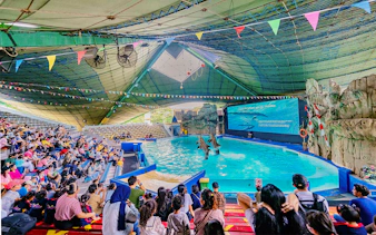 Audience watching a dolphin show at Samudra Ancol aquatic park in Ancol.