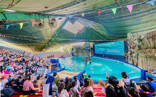 Audience watching a dolphin show at Samudra Ancol aquatic park in Ancol.