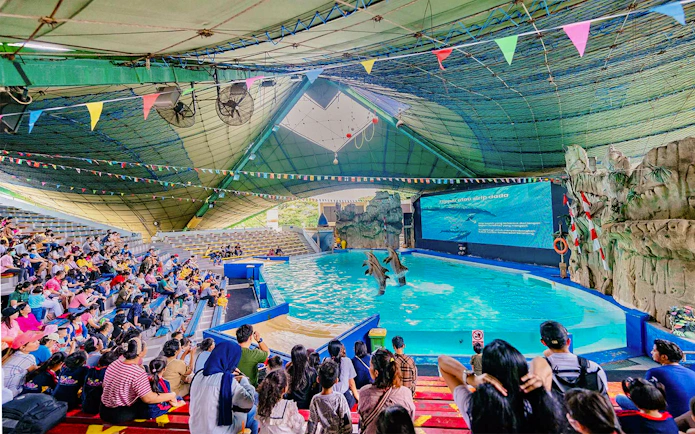 Audience watching a dolphin show at Samudra Ancol aquatic park in Ancol.