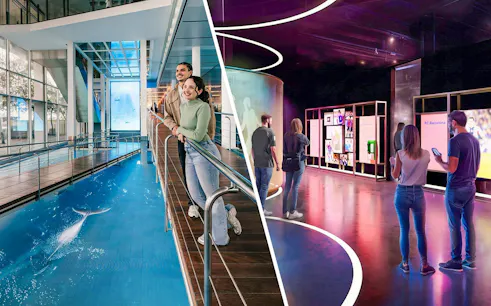 Visitors exploring Andres Iniesta Exhibition with interactive displays and aquatic-themed walkway.
