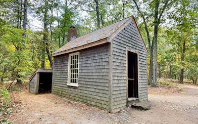 Replica of Thoreau's cabin at Walden Pond, Concord, MA, surrounded by trees.