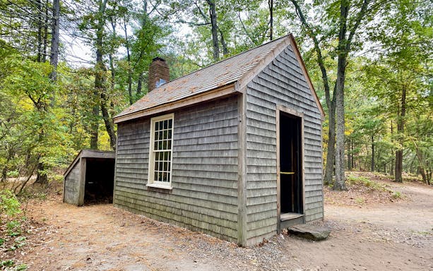 Replica of Thoreau's cabin at Walden Pond, Concord, MA, surrounded by trees.