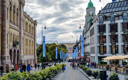 tour a pie privado por el casco antiguo de oslo y entradas para el crucero por los fiordos-1