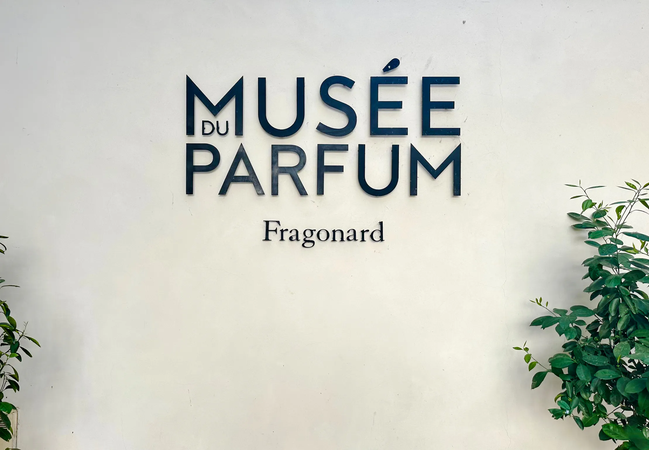 paris small-group tour: fragonard perfume museum, galeries lafayette fashion show, ducasse chocolate tasting-1