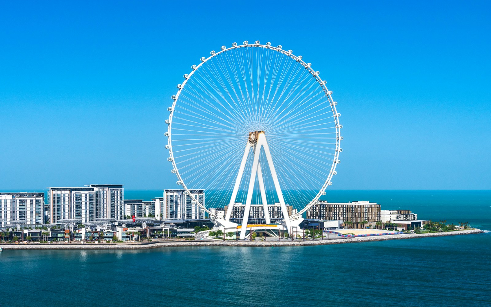 Ain Dubai Ferris wheel against a clear blue sky and ocean.