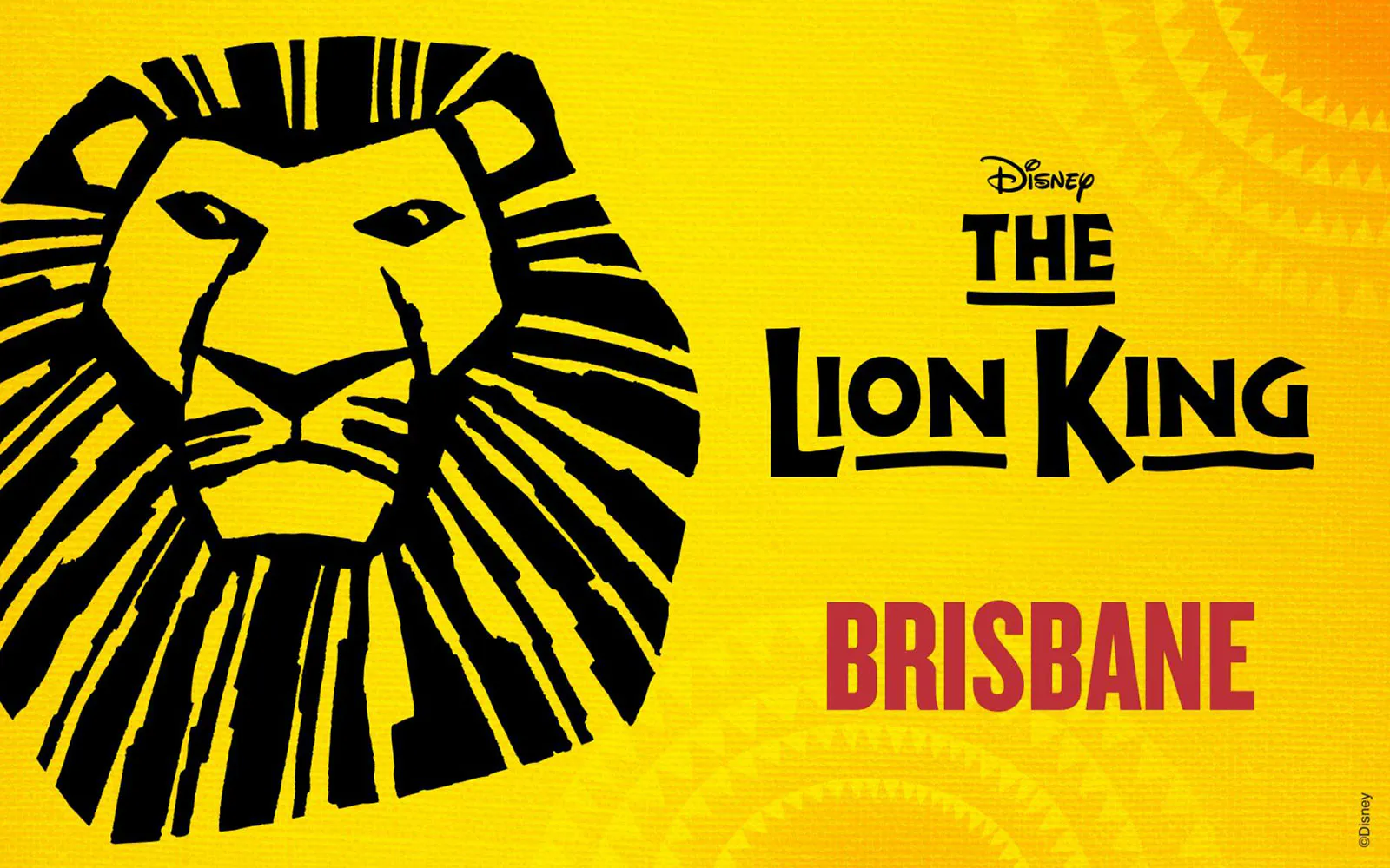 The Lion King musical poster with lion illustration, Brisbane.