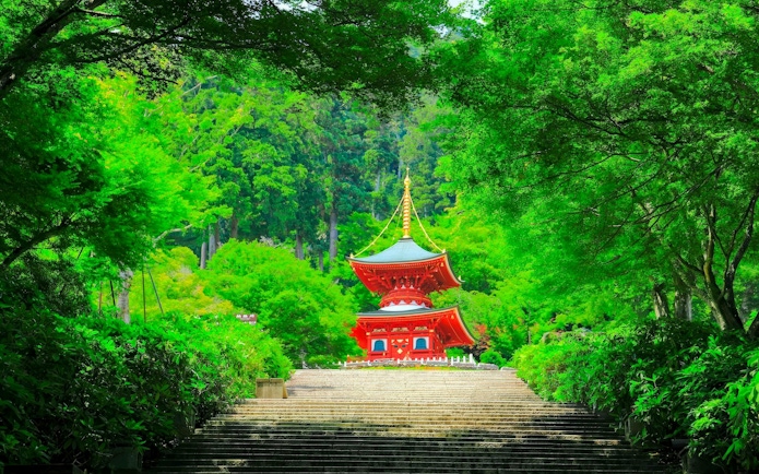 Katsuo-ji Temple pagoda surrounded by lush greenery in Osaka, Japan.