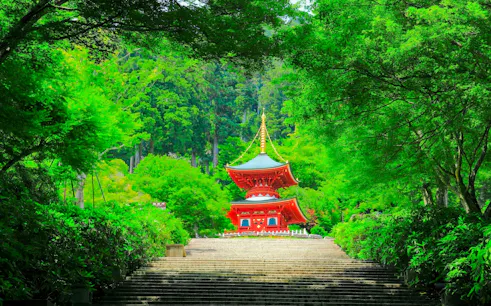 Katsuo-ji Temple pagoda surrounded by lush greenery in Osaka, Japan.