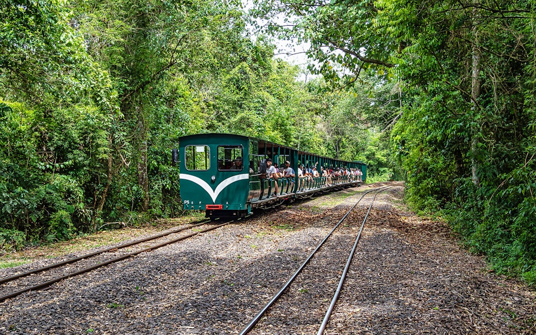 Tourists riding the Iguazu Falls Jungle Train through lush forest.