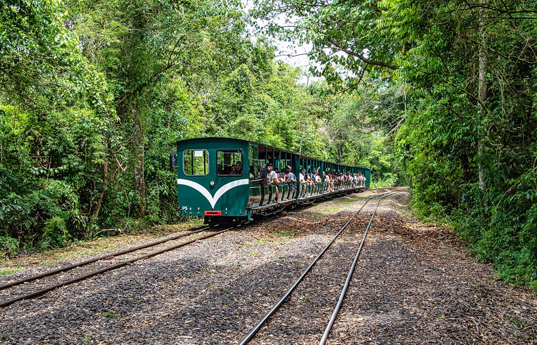 Iguazu Falls Jungle Train passing through lush rainforest in Argentina.