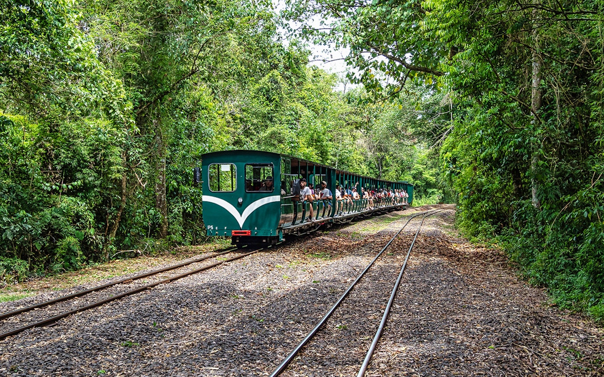 Tourists riding the Iguazu Falls Jungle Train through lush forest.