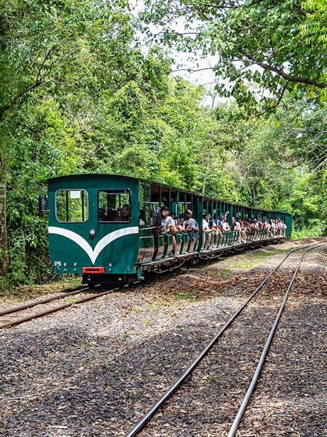 Tourists riding the Iguazu Falls Jungle Train through lush forest.