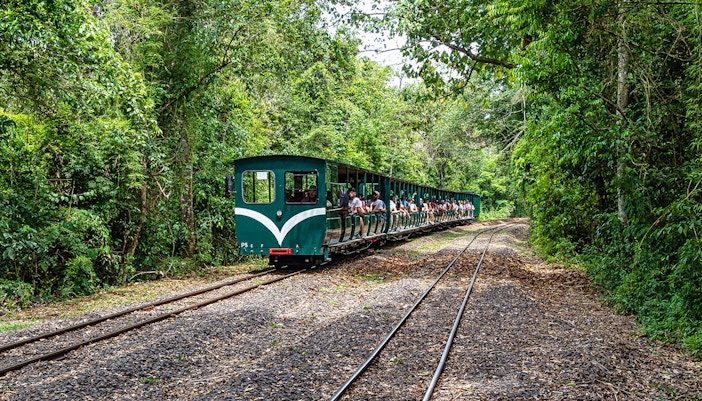 The Rainforest Ecological Train passing by the forest offering a scenic view.
