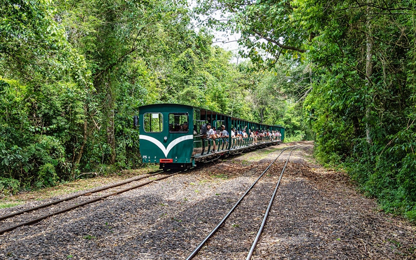 Tourists riding the Iguazu Falls Jungle Train through lush forest.