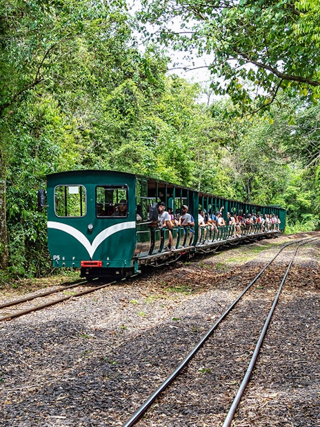 Tourists riding the Iguazu Falls Jungle Train through lush forest.