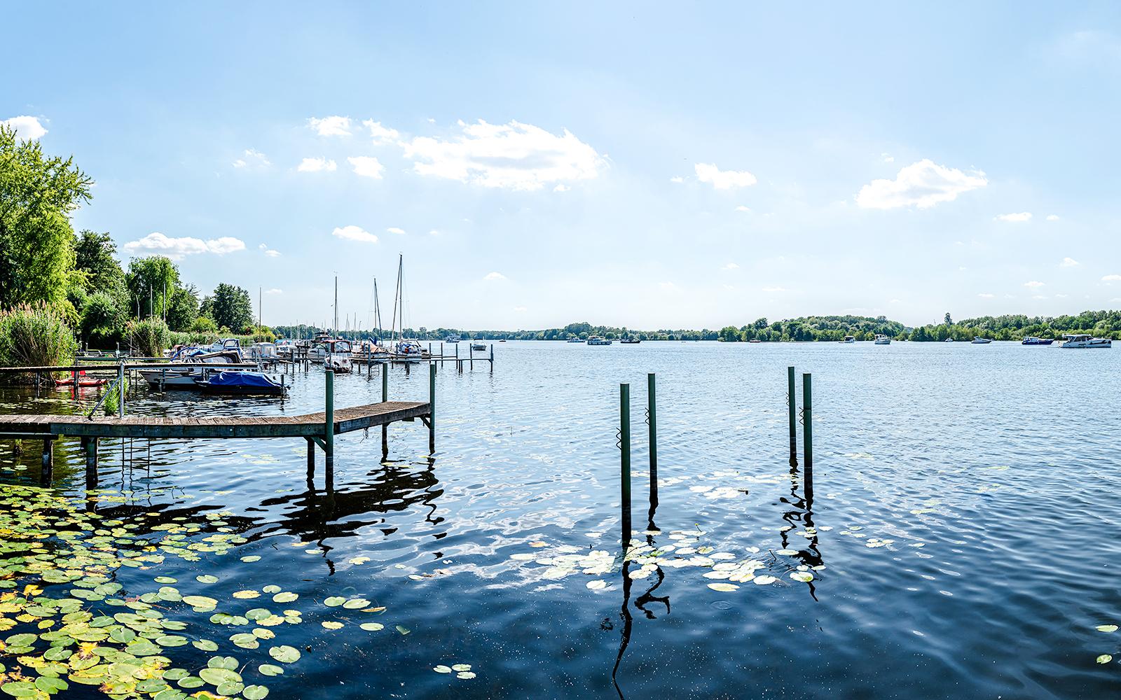 Boats docked on Havel River near Heiligensee, Berlin, with lily pads and clear sky.