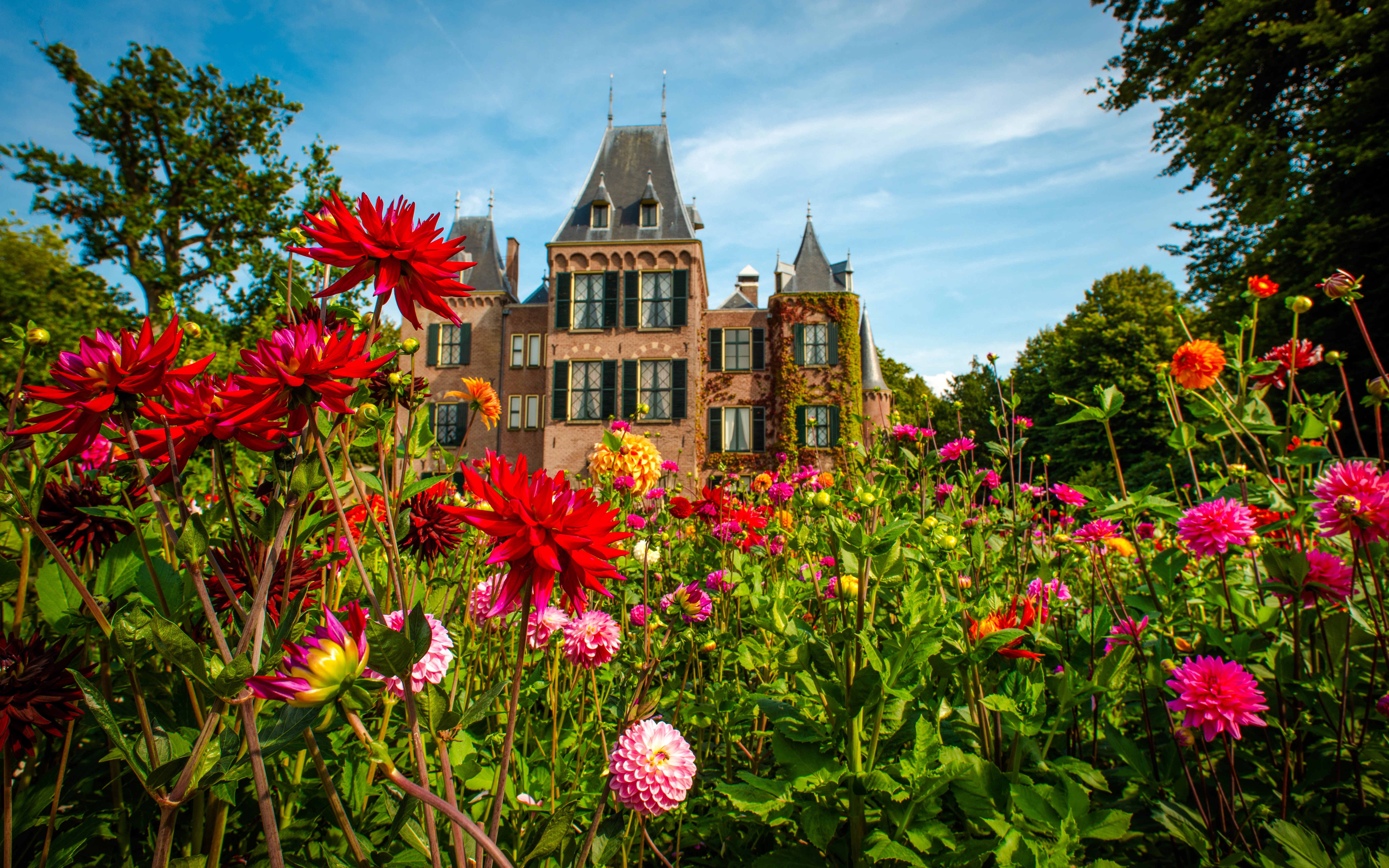 Dahlias in orange and red bloom in front of Keukenhof Castle on a sunny day.