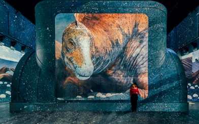 Dinosaur projection at Fabrique des Lumières exhibition with a visitor standing nearby.