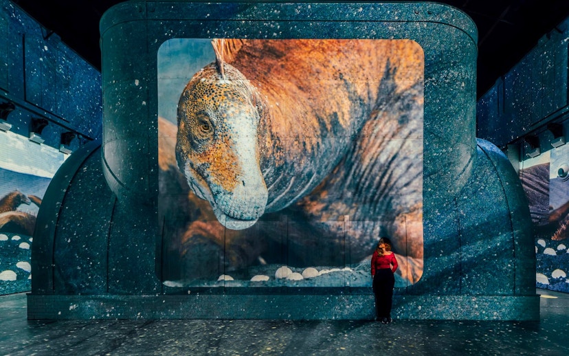 Dinosaur projection at Fabrique des Lumières exhibition with a visitor standing nearby.