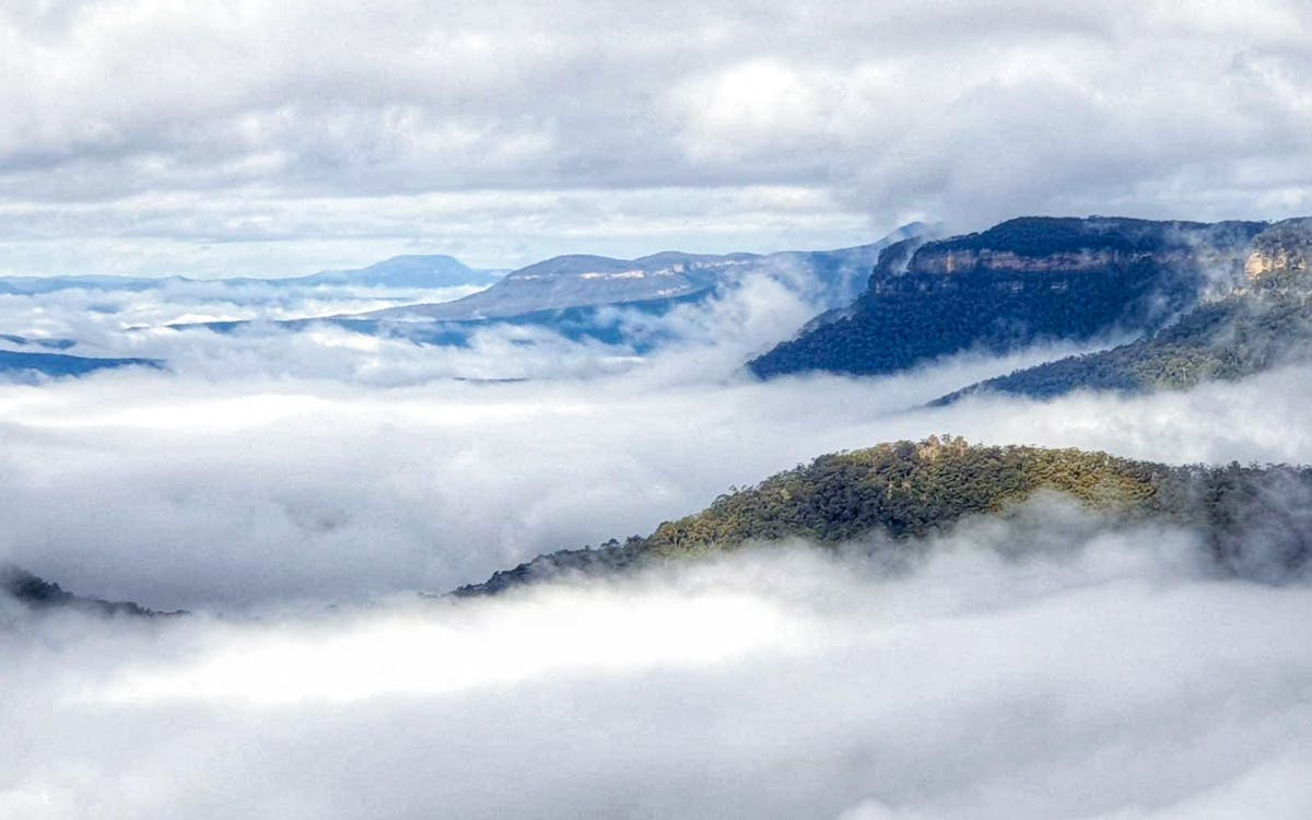 all-inclusive small-group blue mountains tour with scenic world, lunch, wildlife park & river cruise-13 all-inclusive small-group blue mountains tour with scenic world, lunch, wildlife park & river cruise-13