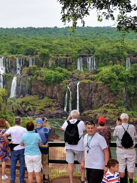 Visitors viewing Iguazu Falls from a lookout point surrounded by lush greenery.