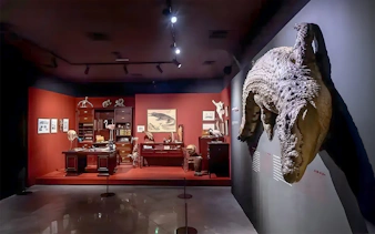 Natural History Museum exhibit with crocodile display and vintage study setup.