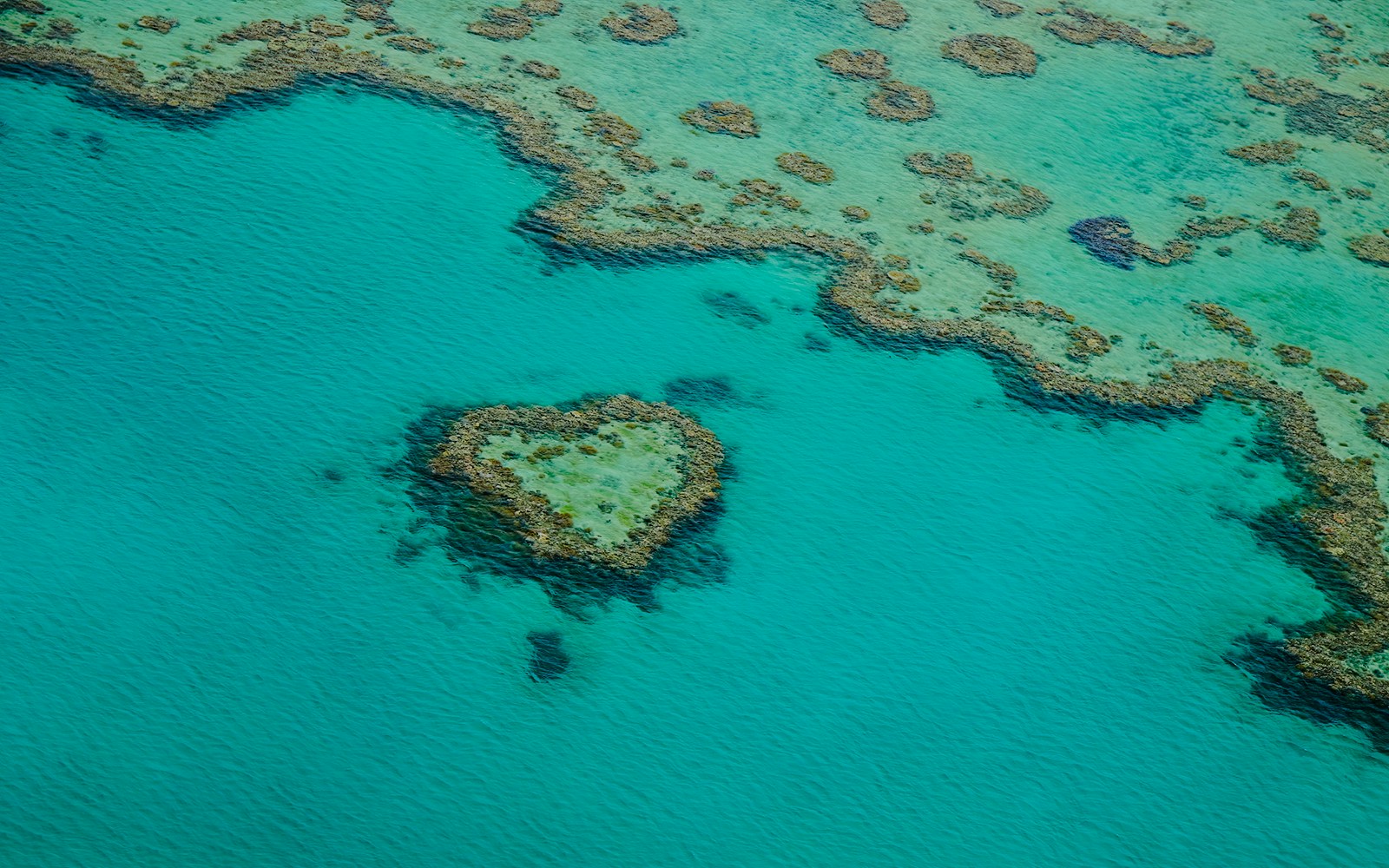 Aerial view of Heart Reef in the Whitsundays, Great Barrier Reef, Australia.