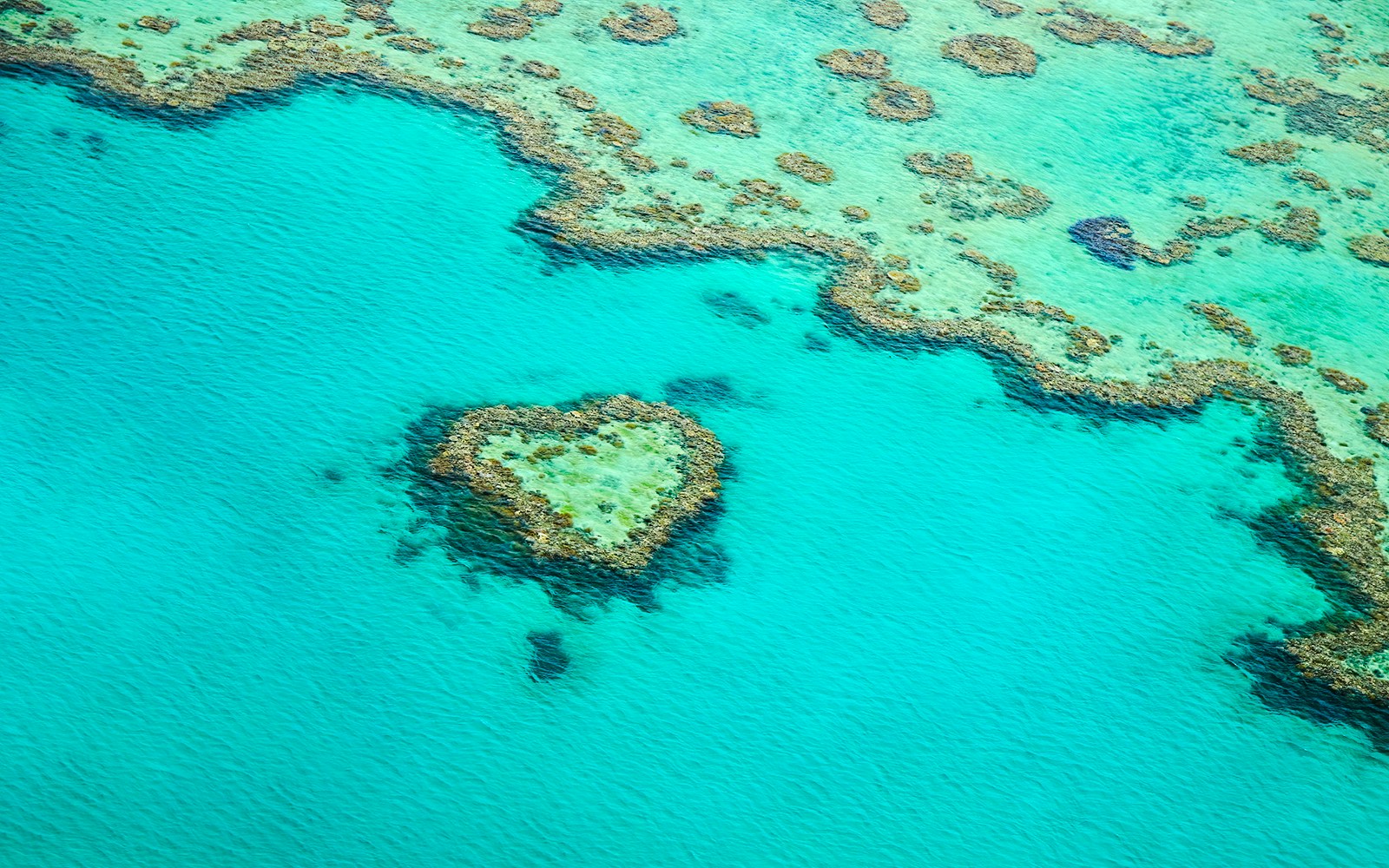 Aerial view of Heart Reef in the Whitsundays, Great Barrier Reef, Australia.