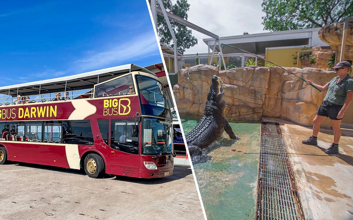 Big Bus Darwin tour and Crocosaurus Cove crocodile feeding experience.