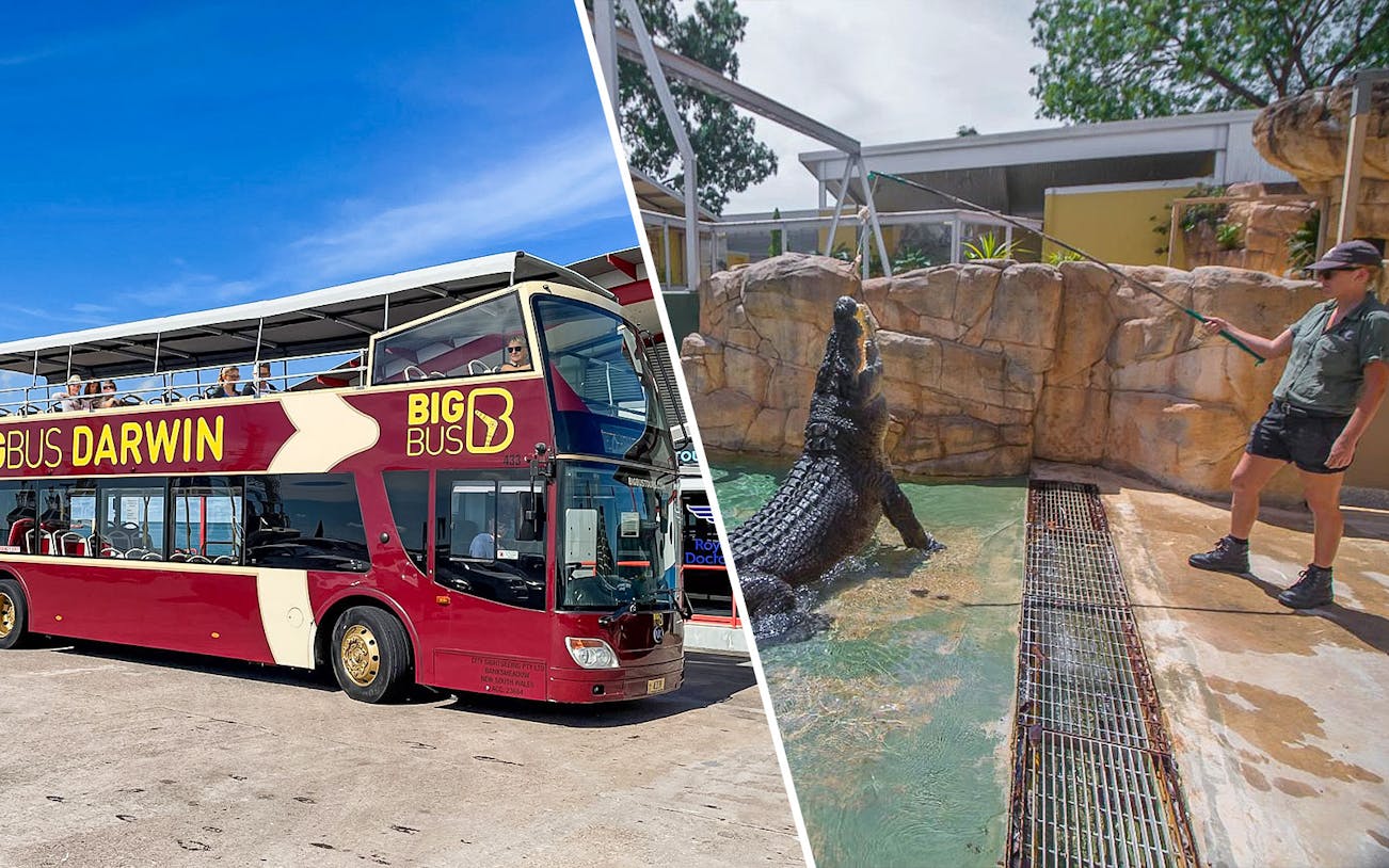 Big Bus Darwin tour and Crocosaurus Cove crocodile feeding experience.