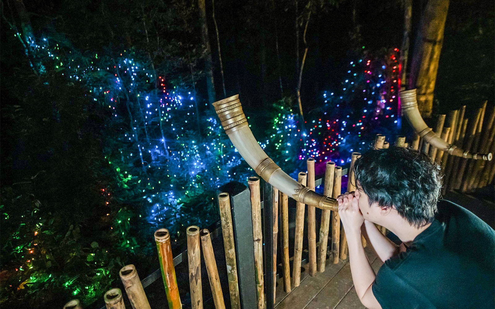 Inside Dream Forest Langkawi