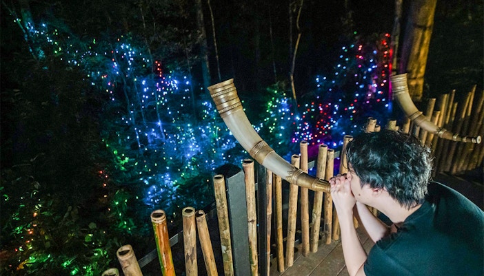 Inside Dream Forest Langkawi