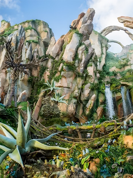 Pandora's floating mountains and lush vegetation at Animal Kingdom Theme Park, Orlando.