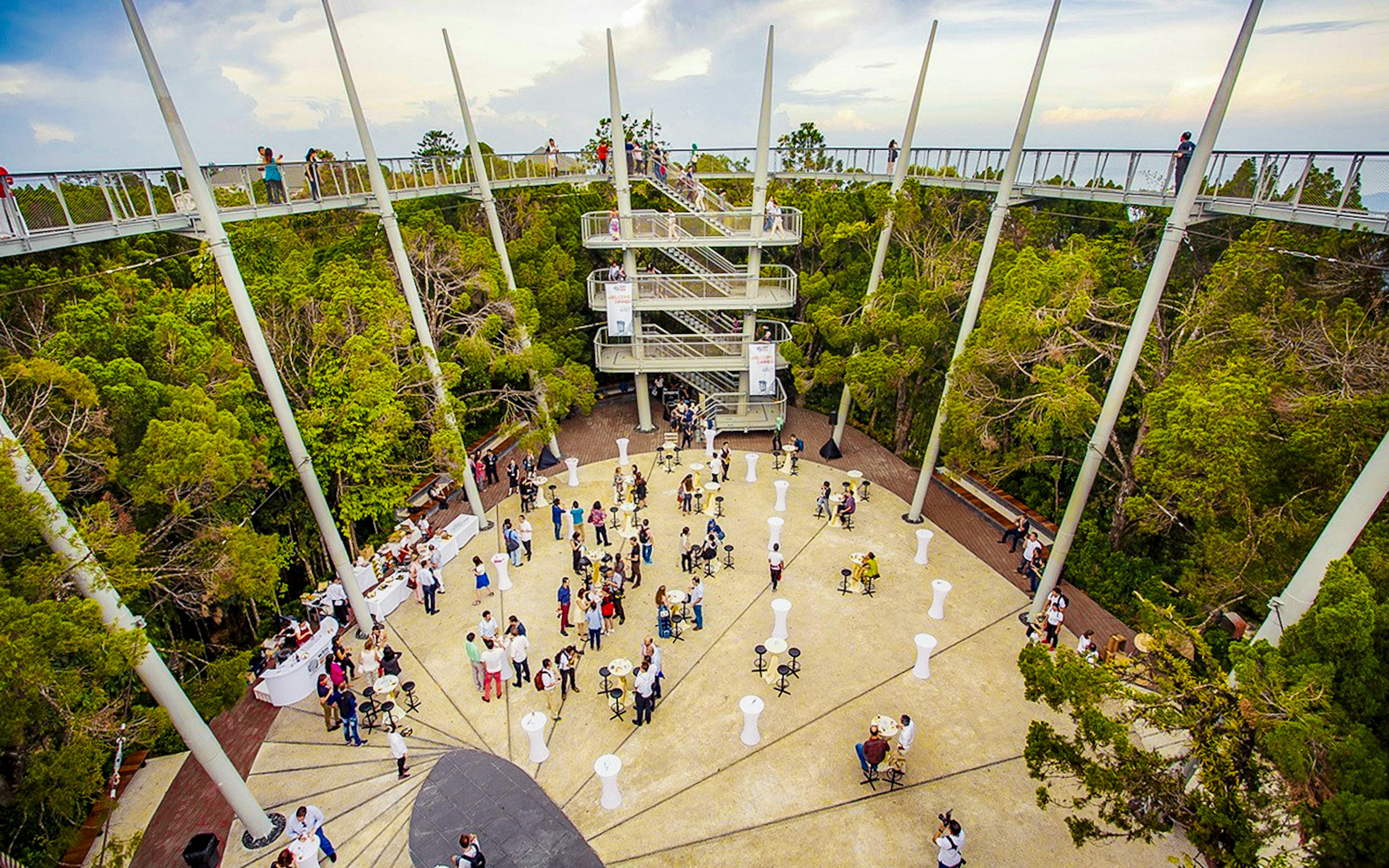 Wander through ancient rainforests