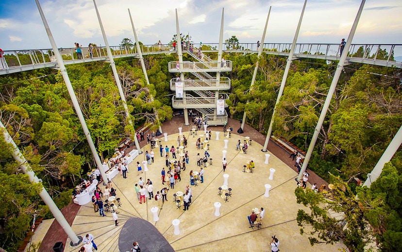 Guests at Habitat Penang Hill exploring canopy walk and central plaza.