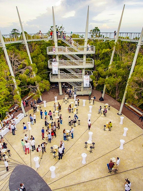 Guests at Habitat Penang Hill exploring canopy walk and central plaza.