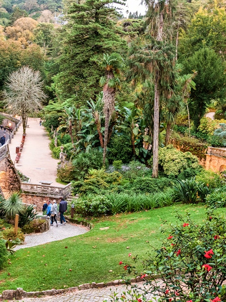 Quinta da Regaleira garden path with stone steps and lush greenery, Sintra, Portugal.
