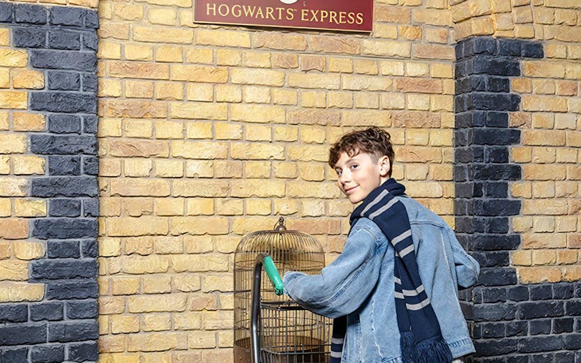 Tourist pushing trolley at Platform 9¾, Harry Potter set, London.