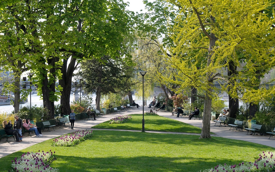 Park pathway with benches and trees on Île de la Cité, Paris.
