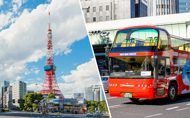 Tokyo Tower and Sky Bus Tokyo tour bus.
