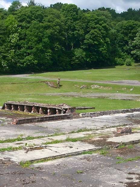 Ruins of Stutthof Concentration Camp surrounded by green forest.