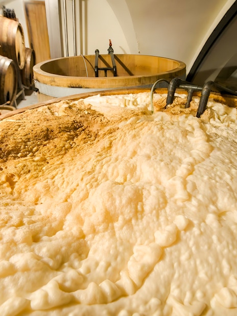 Large vat with fermenting beer in a brewery, showcasing the initial brewing stages.