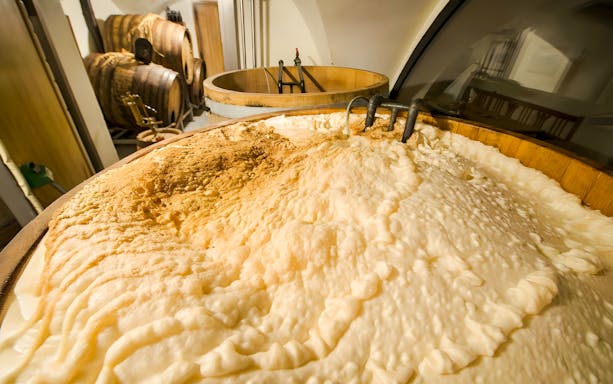 Large vat with fermenting beer in a brewery, showcasing the initial brewing stages.