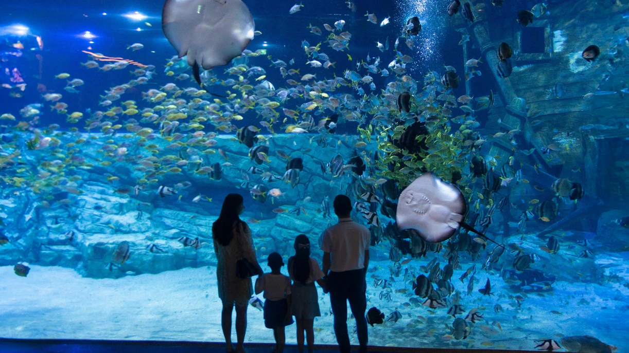 Lotte World Aquarium Hanoi
