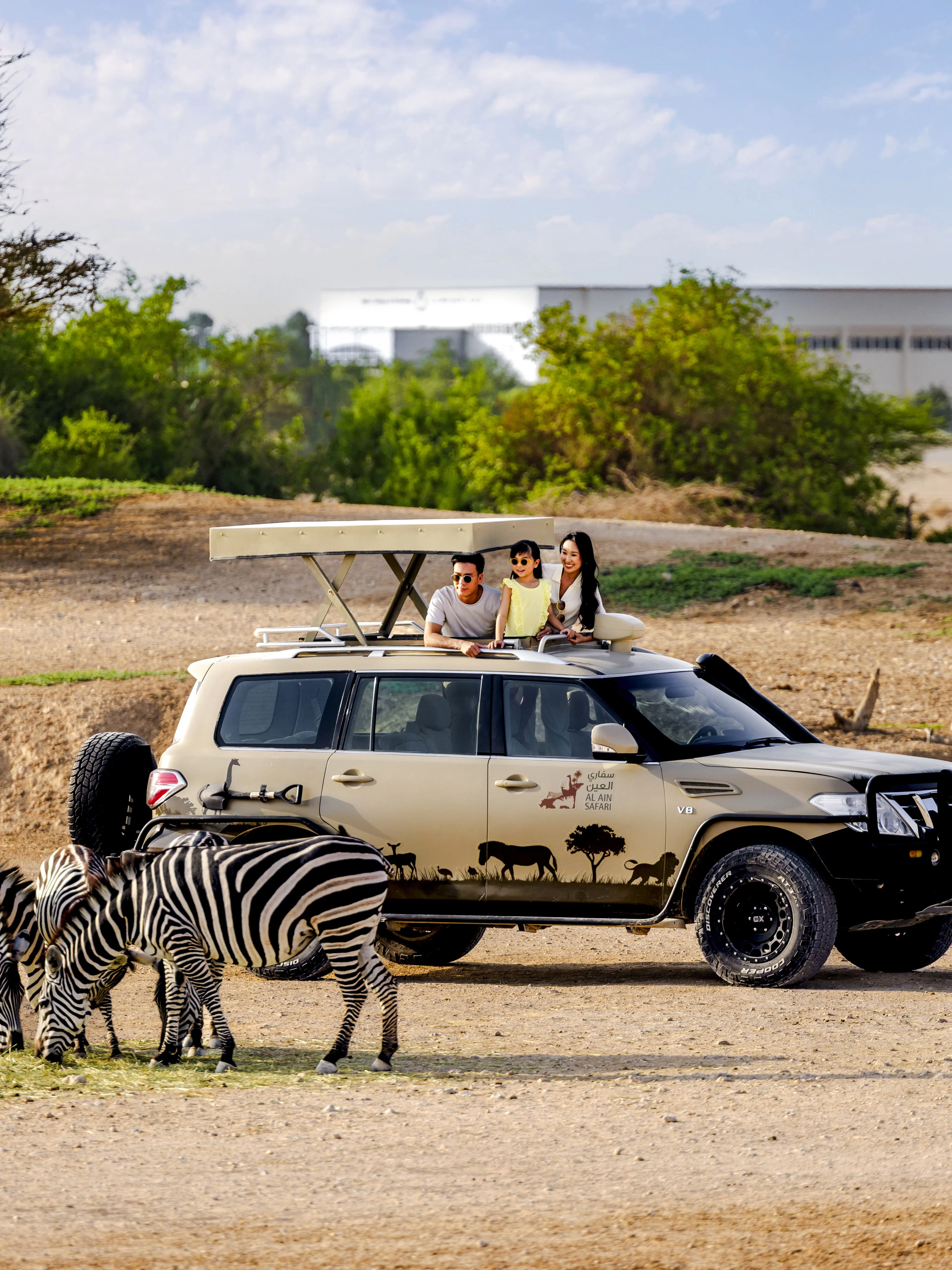 Safari vehicle with tourists observing zebras at Al Ain Zoo.